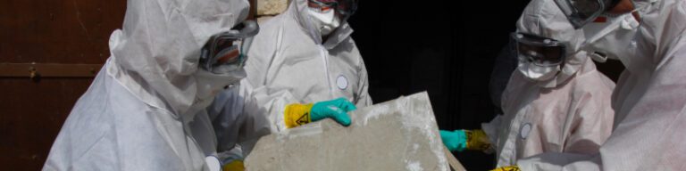 Asbestos Mold Remediation Reference: Filter Leak Testing In Asbestos Abatement Mold Remediation